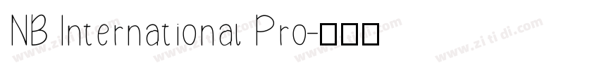 NB International Pro字体转换